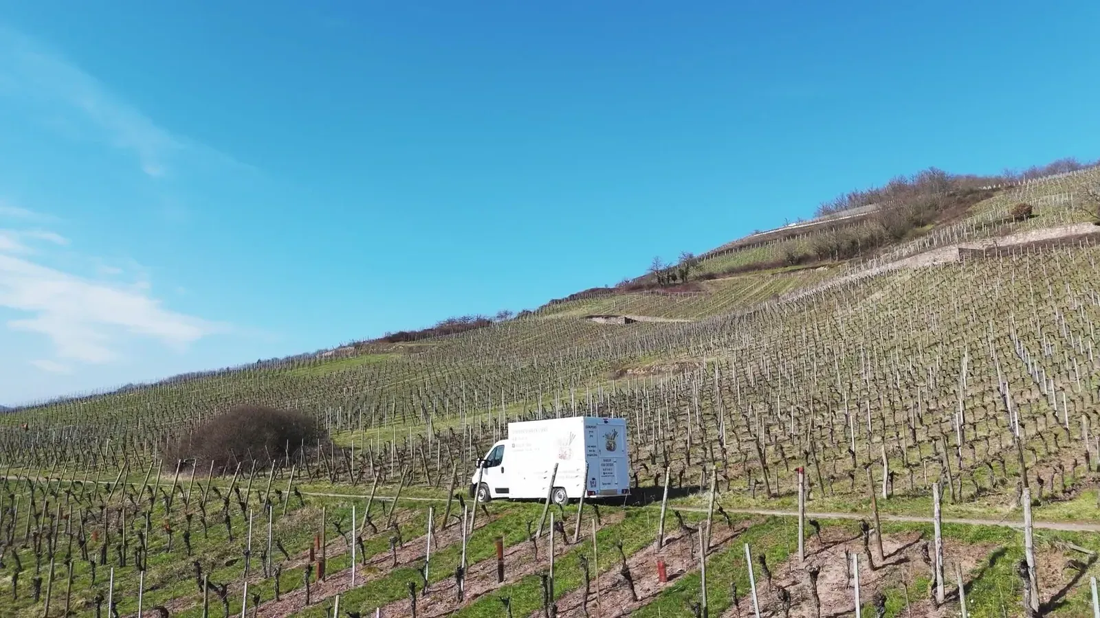 Le food truck Traiteur Éveil des Sens sur un chemin au milieu des vignes alsaciennes